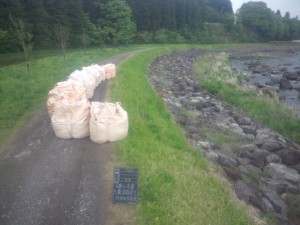 余笹橋下流左岸堤防堤防土嚢積上完了